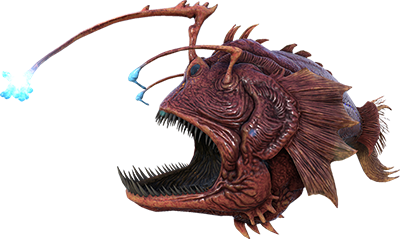 Anglerfish