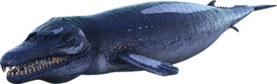 Basilosaurus