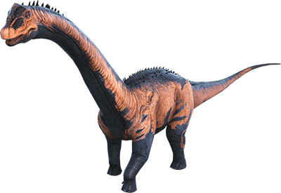 Bronto