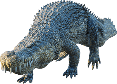Deinosuchus