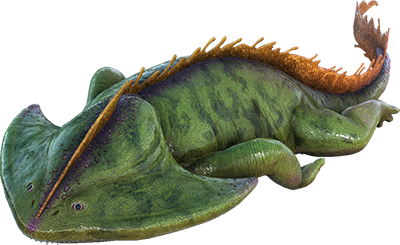 Diplocaulus