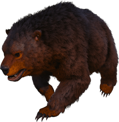 Direbear