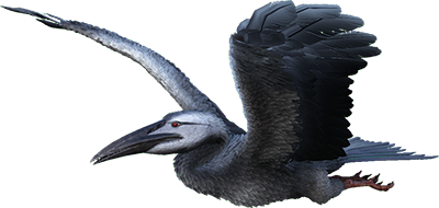 Ichthyornis