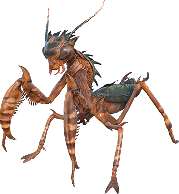 Mantis