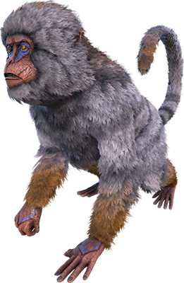 Mesopithecus
