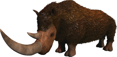 Rhino