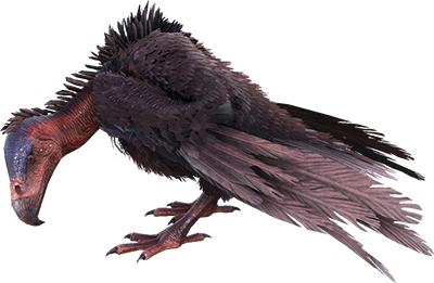 Vulture